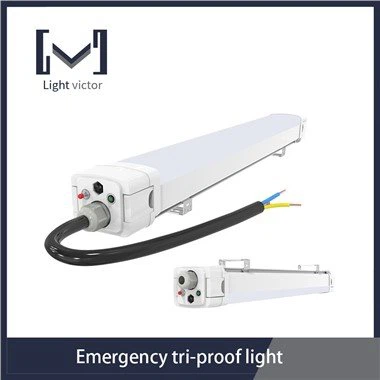 תאורת LED TRI הוכחה